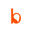 Bizoni Chile logo